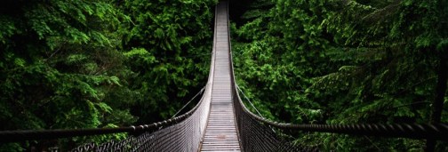 51b52-2127-il-ponte-nella-foresta