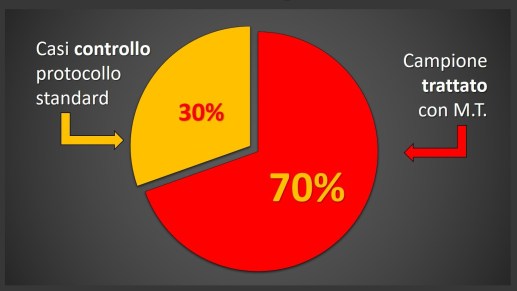 immagine3.jpg